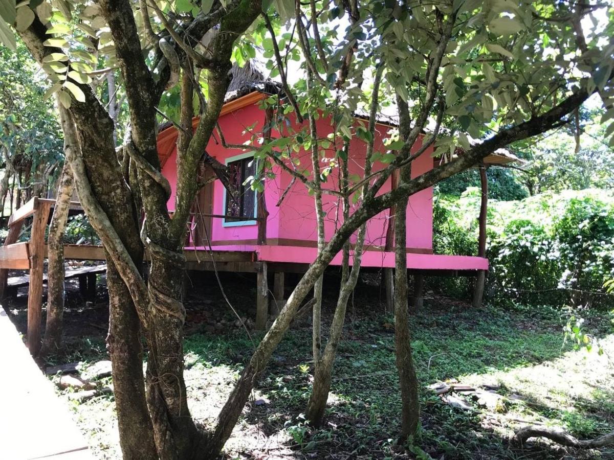 Gibbon Lodge Senmonorom Exterior photo